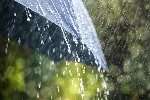 இன்றைய வானிலை முன்னறிவிப்பு! | Today S Weather Forecast