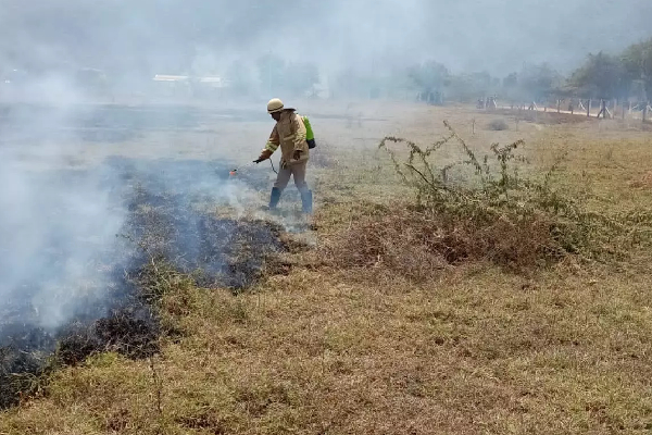 இரத்தினபுரி வனப்பகுதியில் தீ விபத்து | Fire Breaks Out In Ratnapura Forest
