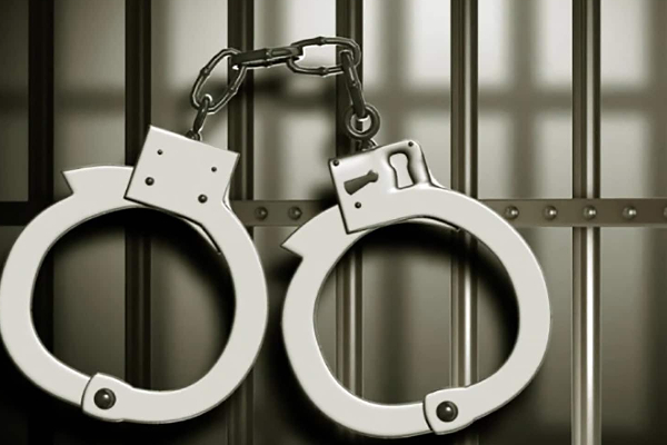 நாட்டை விட்டு தப்பிச் செல்ல முயன்ற குற்றவாளிகள்; உதவியவர்களுக்கு நேர்ந்த கதி! | Criminals Trying To Flee The Country Fake Passport