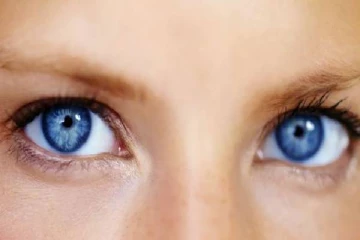 கண்களை பாதுகாக்கும் முறையான உணவுகள்..இவற்றை தவறவிடாதீர்கள்