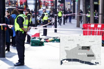 பிரித்தானியாவில் கொள்ளை மற்றும் கத்தி குத்து சம்பவம்: 25 வயது இளைஞர் கைது