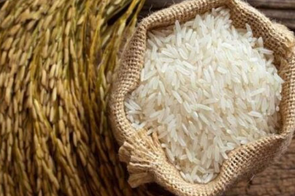 இலங்கையில் கீரி சம்பா அரிசிக்கு தட்டுப்பாடு | Shortage Of Kiri Samba Rice In Sri Lanka
