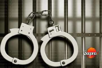 කටුනායකදී කුෂ් සහ හෂීෂ් සමග තිදෙනෙක් අල්ලයි