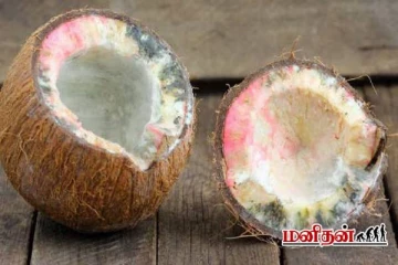 உடைத்த தேங்காய் இப்படி சீக்கரம் கெட்டு போகுதா? பல நாள் கெடாம இருக்க டிப்ஸ்