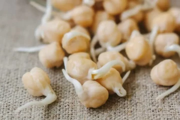 தானியங்களை முளைகட்டி சாப்பிடுவதால் கிடைக்கும் நன்மைகள்.., என்னென்ன தெரியுமா?