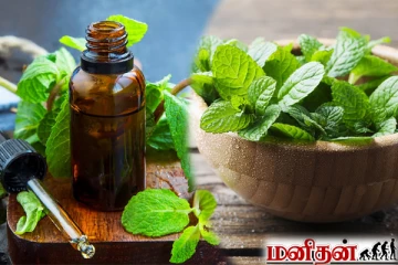 யாரெல்லாம் புதினாவை சாப்பிடவே கூடாது... கட்டாயம் தெரிஞ்சிக்கோங்க