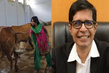 கோமியம் குடித்தால் காய்ச்சல் குணமாகும் - சென்னை ஐஐடி இயக்குநர் பேச்சால் சர்ச்சை