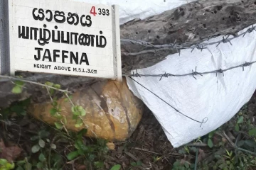 யாழில் காவல் நிலையம் ஒன்றின் பின்காணிக்குள் இருந்து மீட்கப்பட்ட கஞ்சா