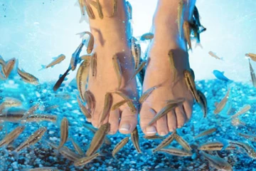 Fish Pedicure: கால்களை சுத்தப்படுத்தும் சிகிச்சை