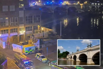 பெண்ணுடன் வாக்குவாதம்...தேம்ஸ் நதியின் தண்ணீருக்குள் குதித்த நபர் உயிரிழப்பு!