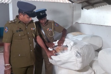 சட்டவிரோதமாக கொண்டுவரப்பட்ட பீடி இலைகள் குறித்து விசாரணை (Video)