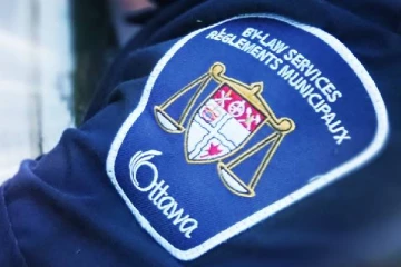 கனடாவில் குழந்தை ஒன்றை கடித்துக்குதறிய நாய்க்கு கடுமையான தண்டனை