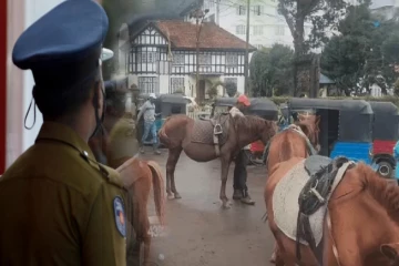 கிரகரி வாவியில் போனியை கொடூரமாகத் தாக்கிய இளைஞர்