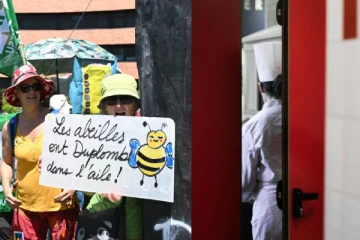 புதிய சட்டம் ஏற்படுத்தியுள்ள சர்ச்சை: கொந்தளிக்கும் பிரான்ஸ் உணவகத்துறை