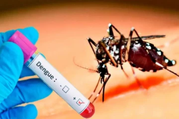 இலங்கையில் வேகமெடுக்கும் டெங்கு நோய்த் தாக்கம்: 45 சுகாதாரப்பிரிவுகளுக்கு வழங்கப்பட்டுள்ள எச்சரிக்கை!