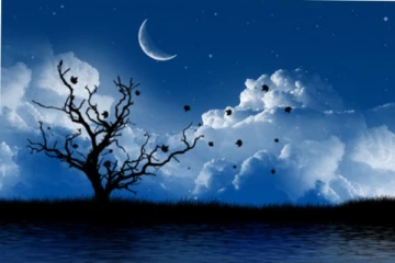 ඊයේ රාත්‍රී අහසේ දුර්ලභ දෙයක් සිදු වෙයි.. වසර 40කට වරක් සිදුවන දෙයක්..