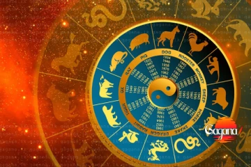 තිරුධිරයි තාරකාවෙන් උපන් අයට අනපේක්ෂිත මූල්‍යමය වාසි එක්ක අද දවසේ සුබ ඵල රැසක්