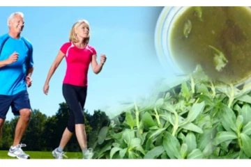 பொன்னாங்கண்ணியில் இத்தனை நன்மைகள் உண்டா?