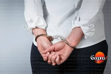 මෝටර් රථ ප්‍රවාහන දෙපාර්තමේන්තුවේ හිටපු නියෝජ්‍ය කොමසාරිස්වරියකට වැඩ වරදී