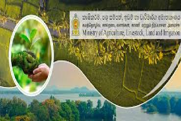 அநுர அரசின் பட்ஜெட் நாளை :பாதுகாப்பு அமைச்சுக்கு அதிகரிக்கப்பட்ட ஒதுக்கீடு | Anura Government S Budget Tomorrow அநுர அரசின் பட்ஜெட் நாளை :பாதுகாப்பு அமைச்சுக்கு அதிகரிக்கப்பட்ட ஒதுக்கீடு | Anura Government S Budget Tomorrow