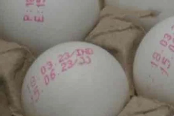 முட்டை இருப்புகளின் மாதிரிகள் திங்கட்கிழமை பெறப்படும்