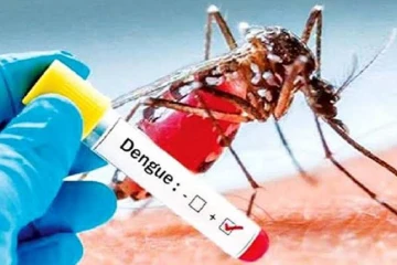 පරිස්සම් වෙන්න- මෙරටින් ඩෙංගු රෝගීන් 93,000ක් වාර්තා වෙයි, මරණ 71ක්