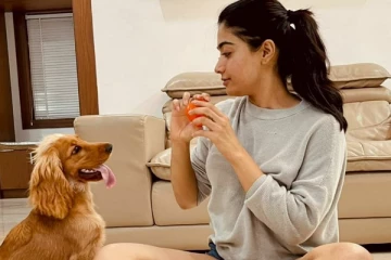 வாரிசு ஹீரோயின் 'ராஷ்மிகா' பற்றி வந்த வதந்தி! விழுந்து விழுந்து சிரித்த நடிகை