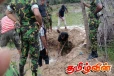 மட்டக்களப்பில் நிலத்தில் புதைக்கப்பட்டிருந்த கைக்குண்டுகள் மீட்பு