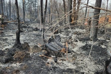 அல்பர்ட்டாவில் 30000 பேர் இடம்பெயர்வு