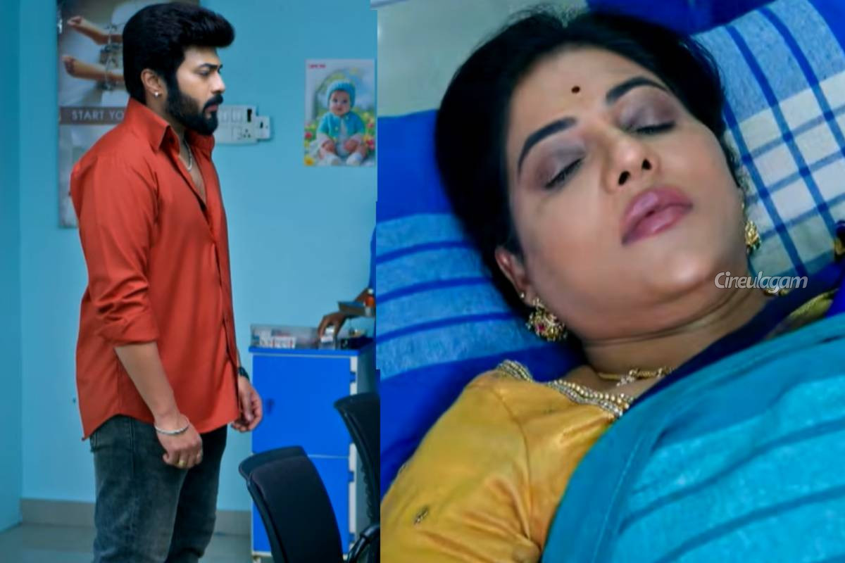 கார்த்திகை தீபம் எபிசோட் அப்டேட்: கார்த்திக் குடும்பத்துக்குக் கிடைத்த புது நம்பிக்கை... | Karthigai Deepam Serial Latest Episode