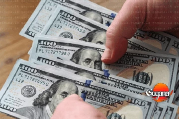 අද ඩොලරයේ අනුපාතය - රුපියල ඔලුව උස්සයි