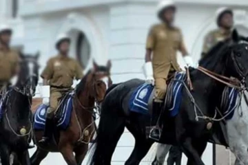 ඩොලර් අර්බුදය පොලිස් අශ්වයන්ටත් බලපෑව හැටි..