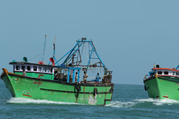 யாழிற்கு வருகை தரவுள்ள தமிழக மீனவர்கள்! | Tamil Nadu Fishermen To Visit Yaha