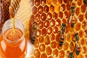 புற்றுநோய்க்கு தீர்வு கொடுக்கும் தேன் : இவ்வளவு மருத்துவகுணங்கள் இருக்கா?