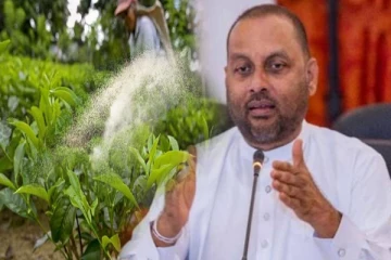 தேயிலைப் பயிர்ச்செய்கைக்கான உரங்களை குறைந்த விலையில் வழங்கத் தீர்மானம்!