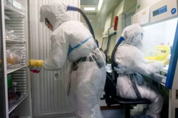 கொரோனா வைரஸ் சளி, காய்ச்சலை போல நோயாக மாறும் சாத்தியம் உள்ளதா?