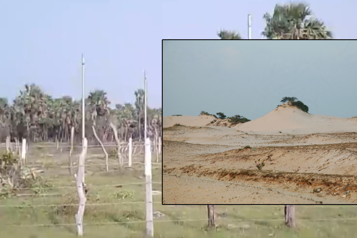 குடத்தனை அரச காணி விவகாரம்: அதிகாரிகள் மௌனம் காப்பதாக மக்கள் விசனம் | Kudathannai State Land Issue குடத்தனை அரச காணி விவகாரம்: அதிகாரிகள் மௌனம் காப்பதாக மக்கள் விசனம் | Kudathannai State Land Issue