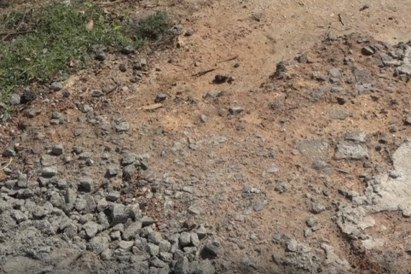 முற்றுமுழுதாக பாதிப்படைந்துள்ள மட்டக்களப்பின் விவசாய நிலங்கள் | Batticaloa Agricultural Lands Completely Affected