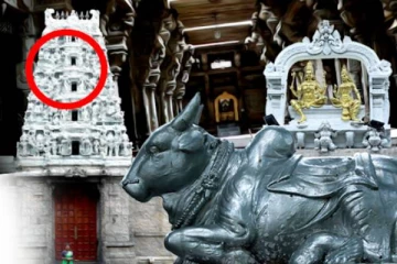 யாழில் பிறந்தவரால் கொழும்பில் உருவான பலரையும் வியக்க வைக்கும் பெருங்கோயில்..! (Video)