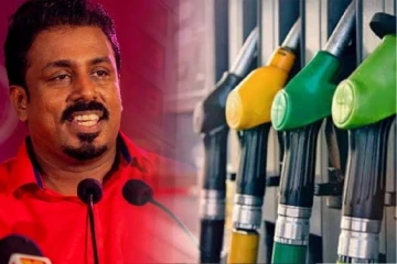 எரிபொருள் விலை உயர்ந்துள்ள போதிலும் மக்கள் மீது முழுச் சுமை சுமத்தப்படவில்லை என்கிறது ஆளும் தரப்பு