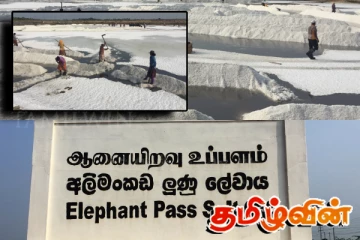 வடக்கின் உப்பு உற்பத்தியும் விருத்தி செய்யப்படாத பொக்கிஷமான ஆனையிறவு உப்பளமும்!