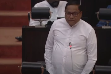 විදේශගත ලාංකිකයන්ට ඡන්ද අයිතිය හා විශ්‍රාම වැටුප් සමග සහන රැසක් දෙන පනතක්