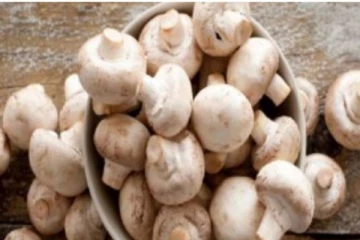 காளான் பிரியரா நீங்கள்? எப்போது, எவ்வளவு சாப்பிட வேண்டும்? தெரிந்துகொள்ள வேண்டிய விடயம்