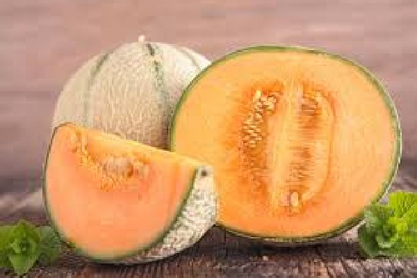 கனடாவில், இந்தப் பழம் சாப்பிட்டதனால் ஒருவர் உயிரிழப்பு | Cantaloupe Salmonella Outbreak Canada