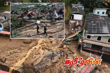 டிட்வாவில் பாதிக்கப்பட்டு இன்னும் அடையாளம் காணப்படாத உடலங்கள்.. 525 பேருக்கு இறப்புச் சான்றிதழ்கள்