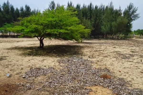 குருக்கள்மட இராணுவ முகாம்கள் குறித்து சாணக்கியனின் அதிரடி அறிவிப்பு | Mp Announces Steps To Clear Army Camp