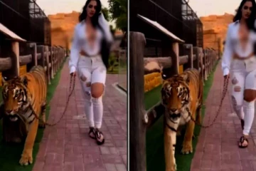 Viral Video; புலியை Walking கூட்டிச் சென்ற பெண் பிரபலம்- அதிர்ச்சியில் நெட்டிசன்கள்