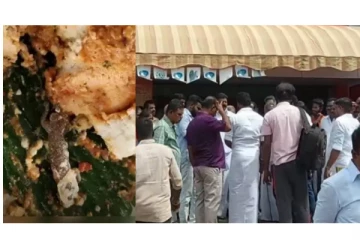 சிவகங்கையில் பிரபல தனியார் உணவகத்தில் காலை உணவில் கிடந்த பல்லி - ஷாக்கான வாடிக்கையாளர்கள்...!
