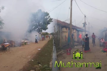 சாய்ந்தமருது பிரதேசத்தில் நுளம்புகள் பெருகாத வண்ணம் புகை விசிறல் நடவடிக்கை !