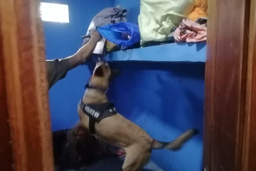 யாழ். நெல்லியடியில் விசேட சுற்றிவளைப்பு